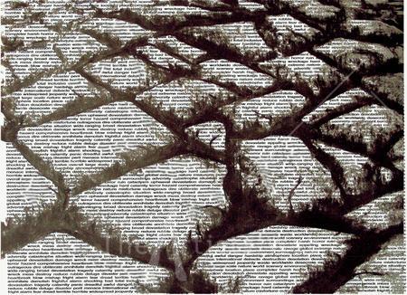 Paperswork Drought 2