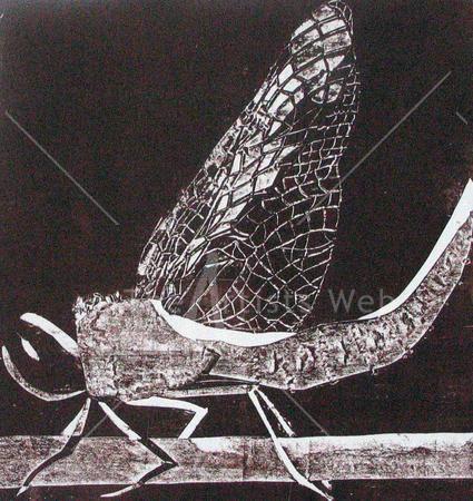 Printings: Dragonfly