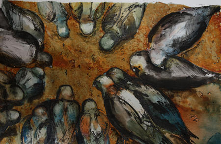 Pigeons feeding
