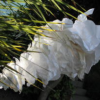 Paper Hurricane 2