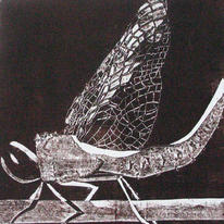 Printings: Dragonfly