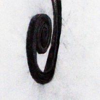 Eye of the Hurricane