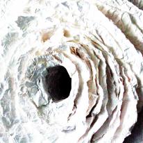 Paper hurricane 4