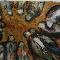 Pigeons feeding