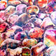 Paintings: Habitat -…