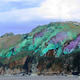 Bouley Bay Jersey
