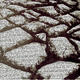 Paperswork Drought 2
