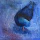 Solitary Pigeon-