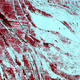 Sea Pattern