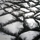 Dried Earth