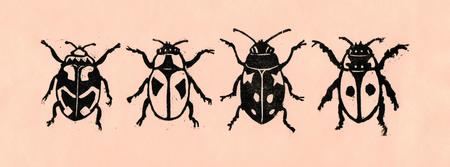 Four Bugs on Pink