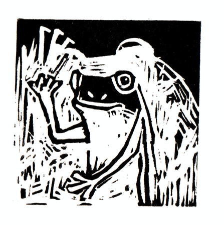 frog 4