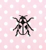 pink dot bug