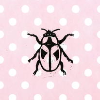 pink dot bug