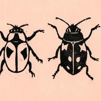 Four Bugs on Pink
