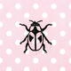 pink dot bug