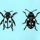 Two Blue Bugs | | | lino cut Two Blue Bugs