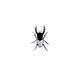 Stag Beetle 