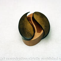 Yin Yang Fish Box