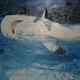 Poor Shark | | 61 x 51cm | Acrylic on Tarpaulin Poor Shark
