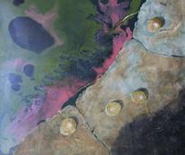 Limpets