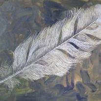 Feather