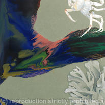 Topography 4