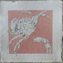 Crab