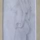 Life Study | £75 | 32 x 65cm | Pencil on Paper Life Study