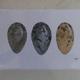 Gull's Eggs | £50 | 40 x 32cm | Watercolour on Paper Gull's Eggs