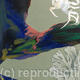 Topography 4