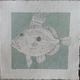 John Dory | £50 | | Watercolour John Dory