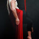 Red Silks