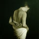 Draped Series - Back…