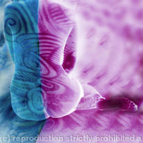 Spiral Series- The other half 3