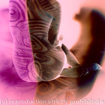 Spiral Series-The other half 2