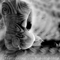 Spiral series 5