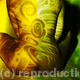 Spiral Series - The… | | | Photography Spiral Series - The…
