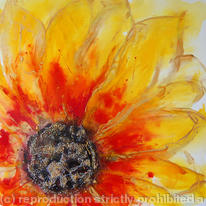 Abstract Sunflower