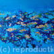 Reef Life - Contemporary…