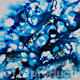 Flow Series '42'