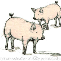 Two Piggies