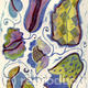 Vienna painted | £55 | 15 x 21cm | Linocut and natural dye inks Vienna painted