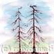 Larches | £3 | 13 x 13cm | Digital print Larches