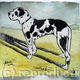 rosie the harlequin…