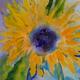 Sunflower | | | Sunflower