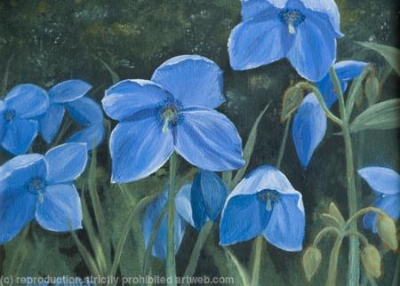 Blue Rhapsody