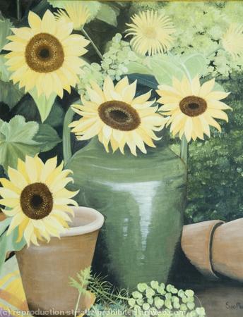 Sunflowers