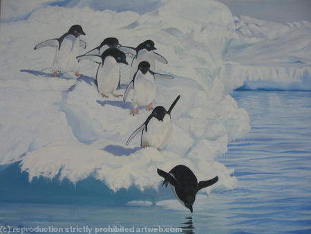 Chilly Dippers