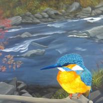 hidden Kingfisher